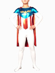 Shiny Metallic Lycra Superhero Costume